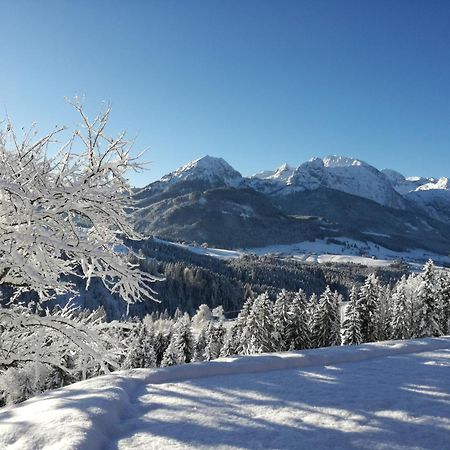 Lammerauhof Abtenau Exteriör bild