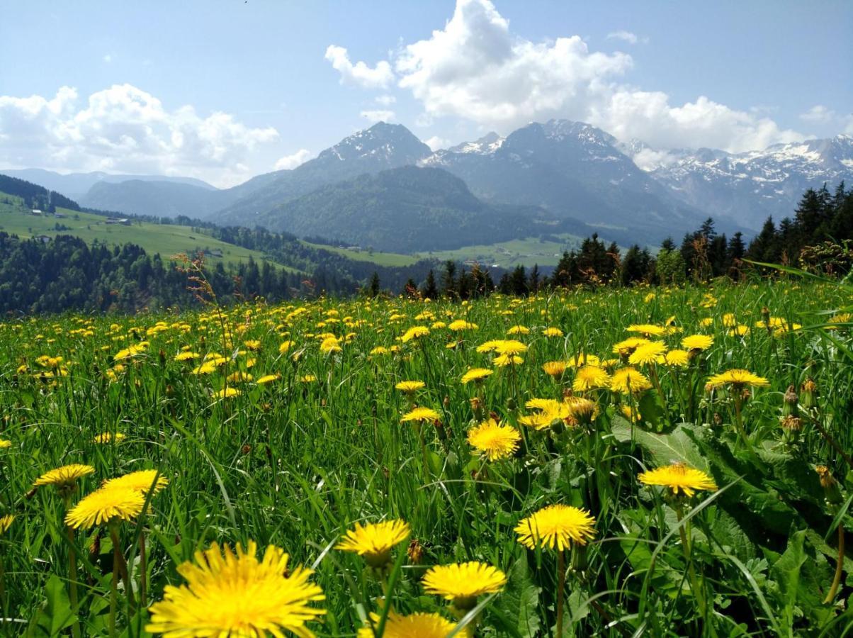 Lammerauhof Abtenau Exteriör bild