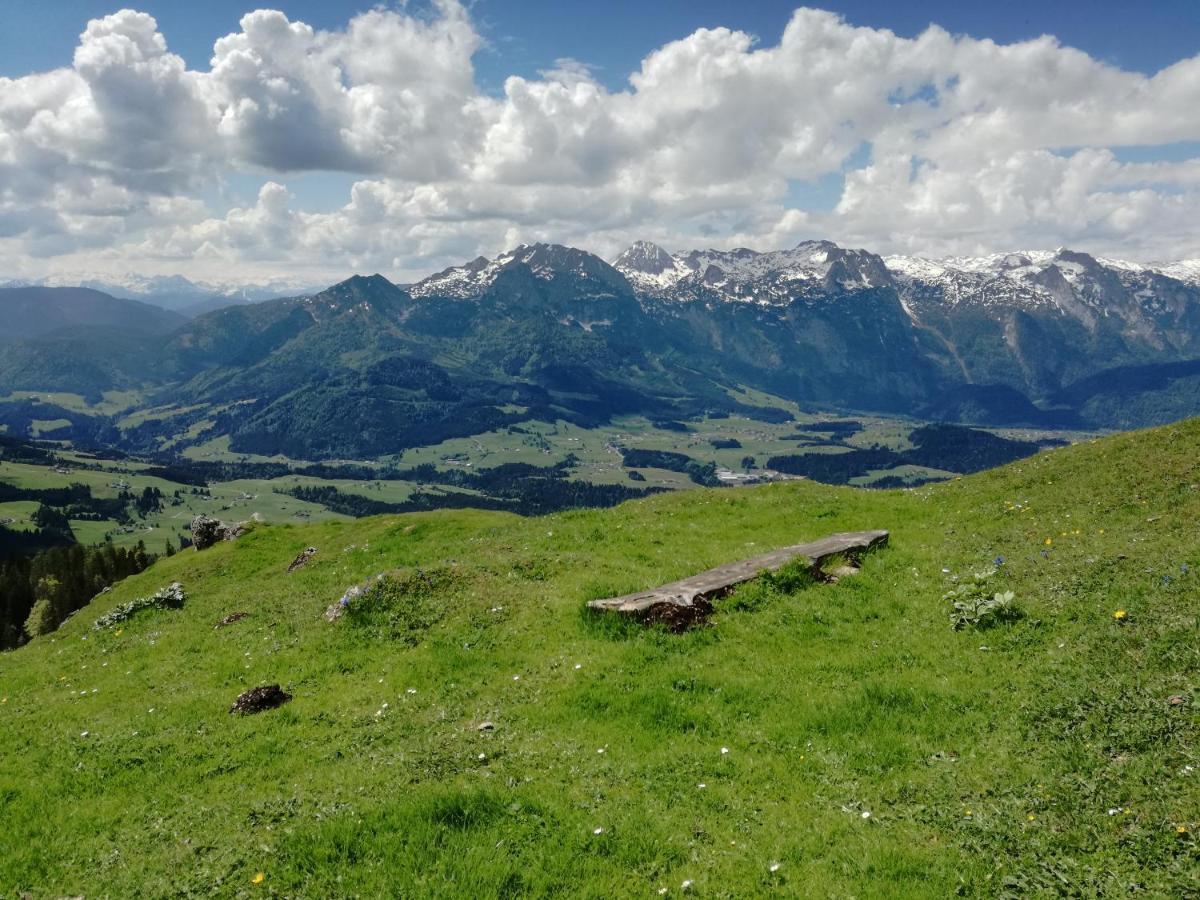 Lammerauhof Abtenau Exteriör bild