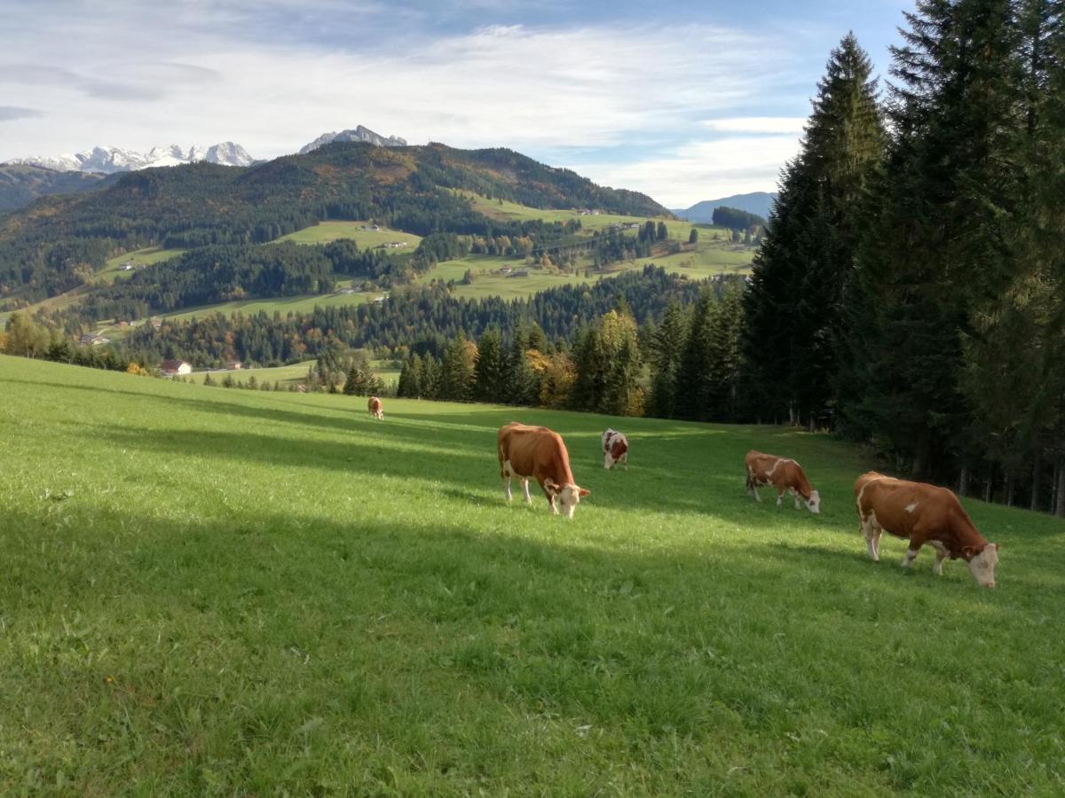 Lammerauhof Abtenau Exteriör bild