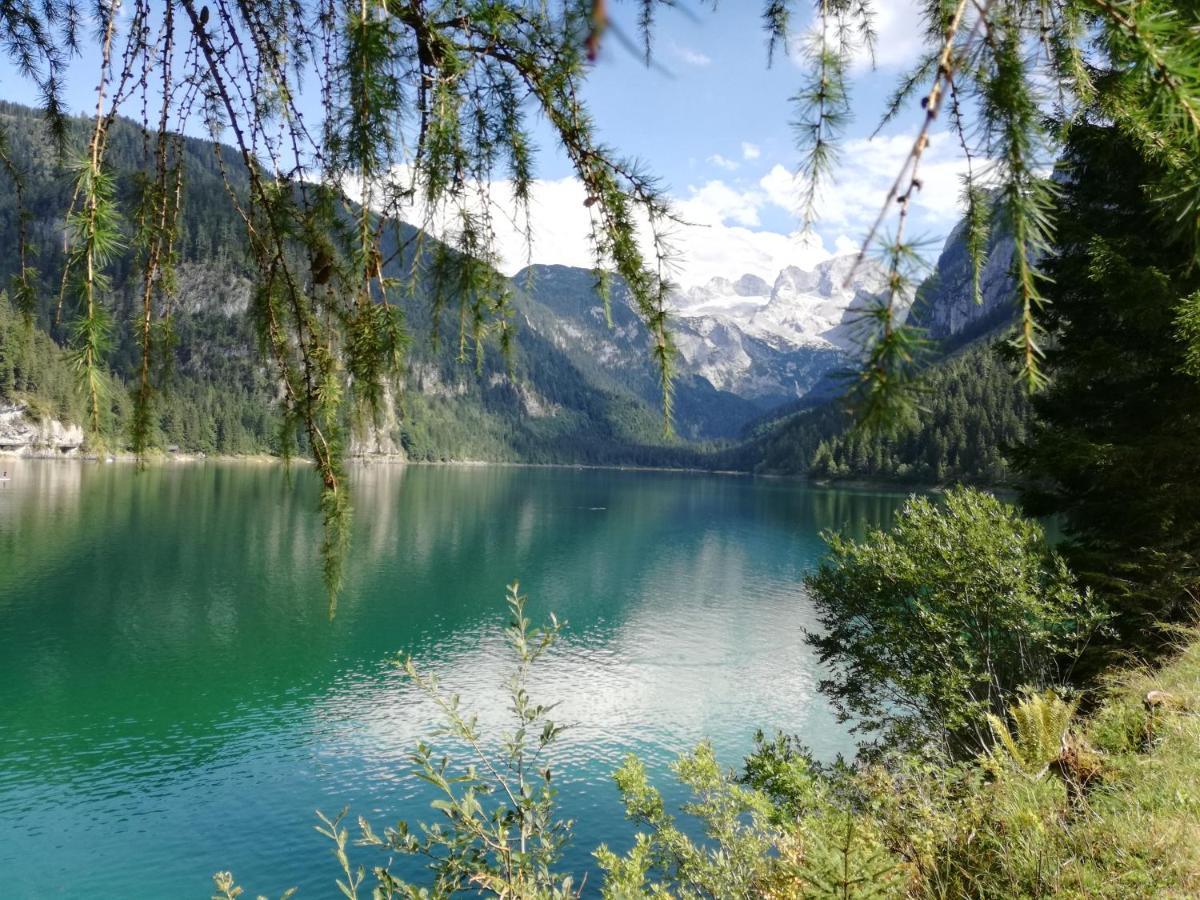 Lammerauhof Abtenau Exteriör bild