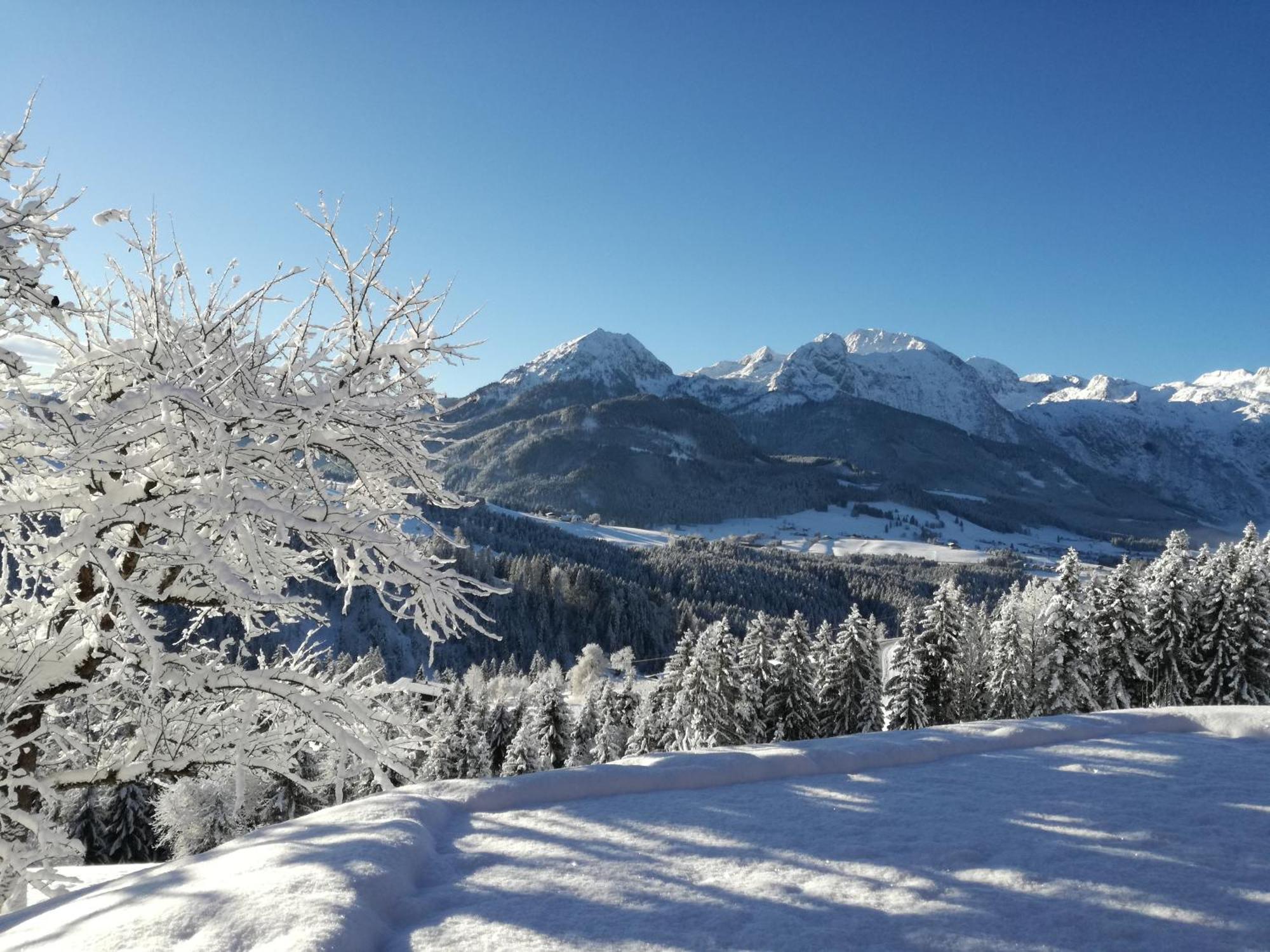Lammerauhof Abtenau Exteriör bild